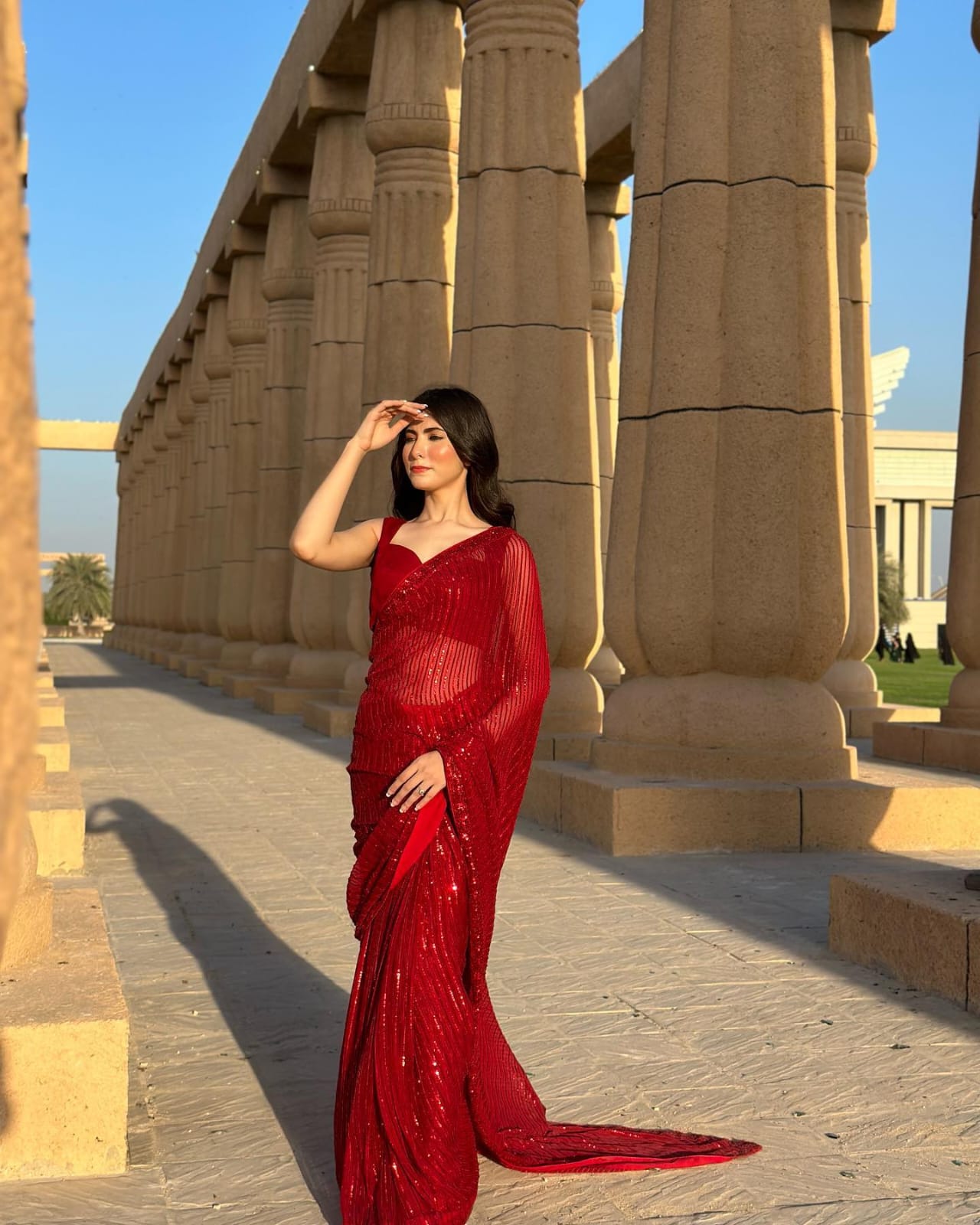 Brown Georgette Saree with Embroidery Sequins and Lace Border – Available