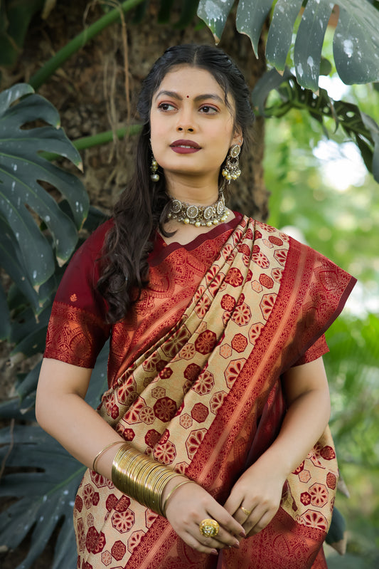 Chiku Maroon Litchi Soft Silk Banarasi Saree with Floral Zari Woven Work