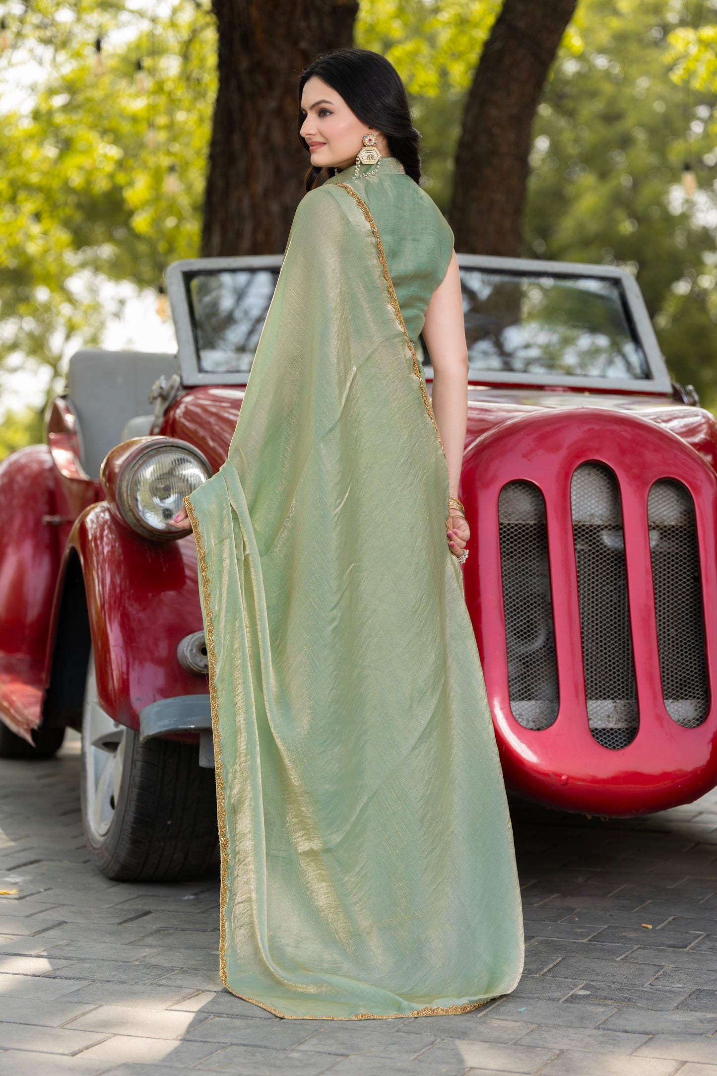 Pista Chiffon Bollywood Saree with Embellished Border