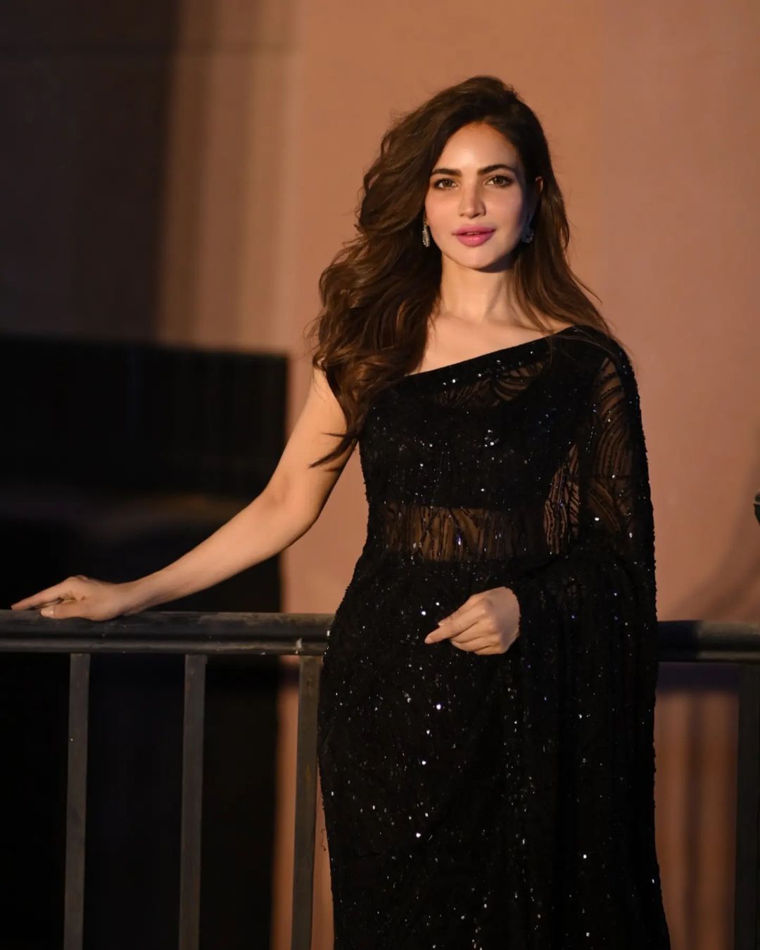 Black Georgette Saree with Embroidery Sequence and Lace